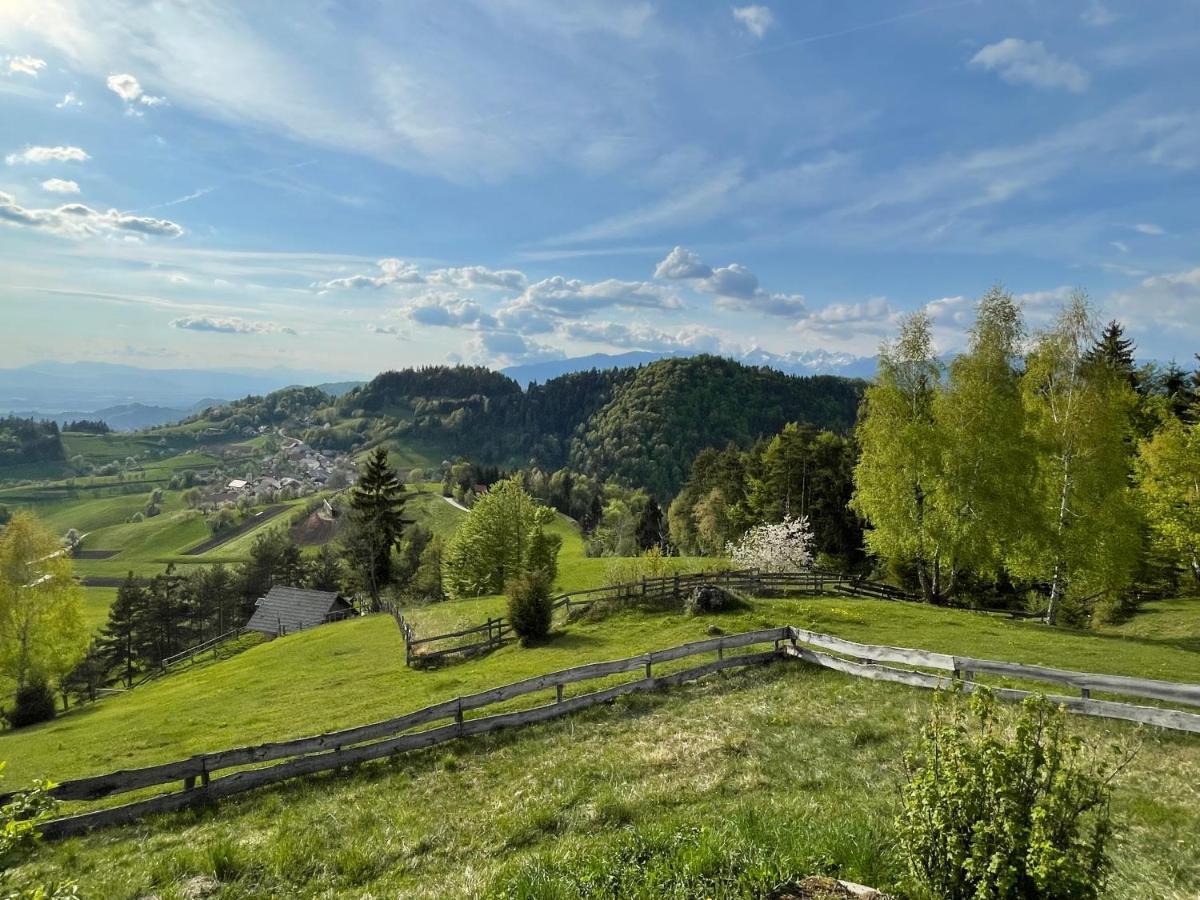 Mountain View Cottage Kamnik Bagian luar foto