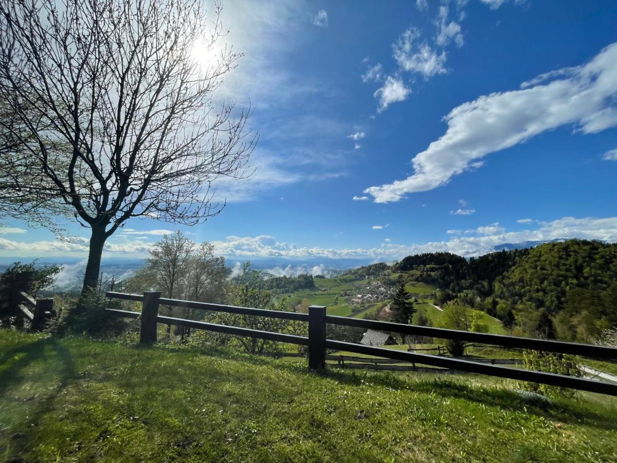 Mountain View Cottage Kamnik Bagian luar foto