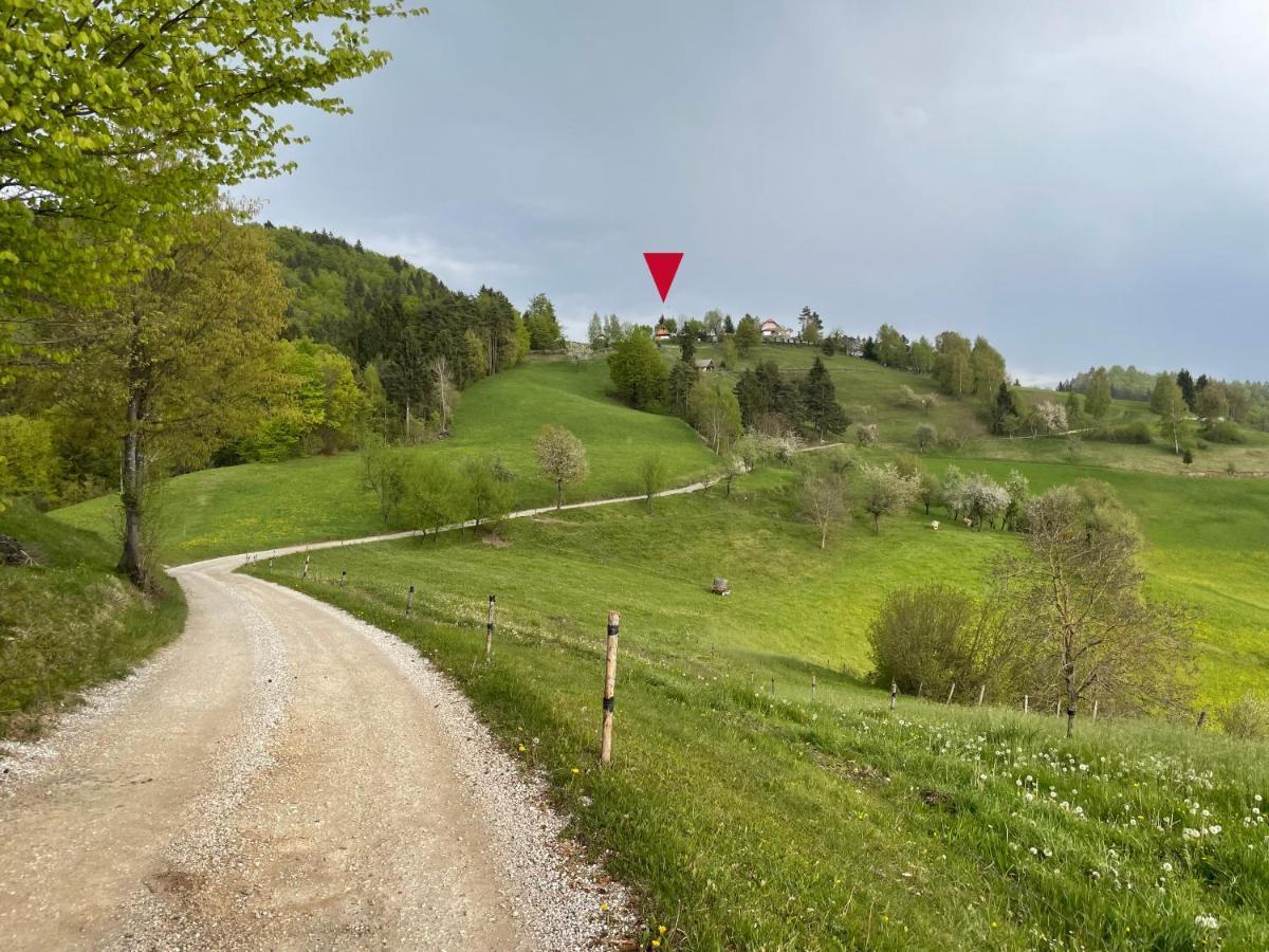 Mountain View Cottage Kamnik Bagian luar foto