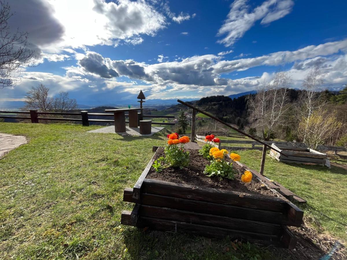 Mountain View Cottage Kamnik Bagian luar foto